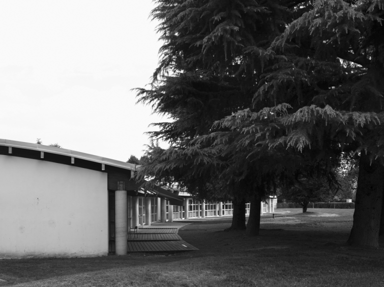 Vista del giardino - Introini, Marco - 2015