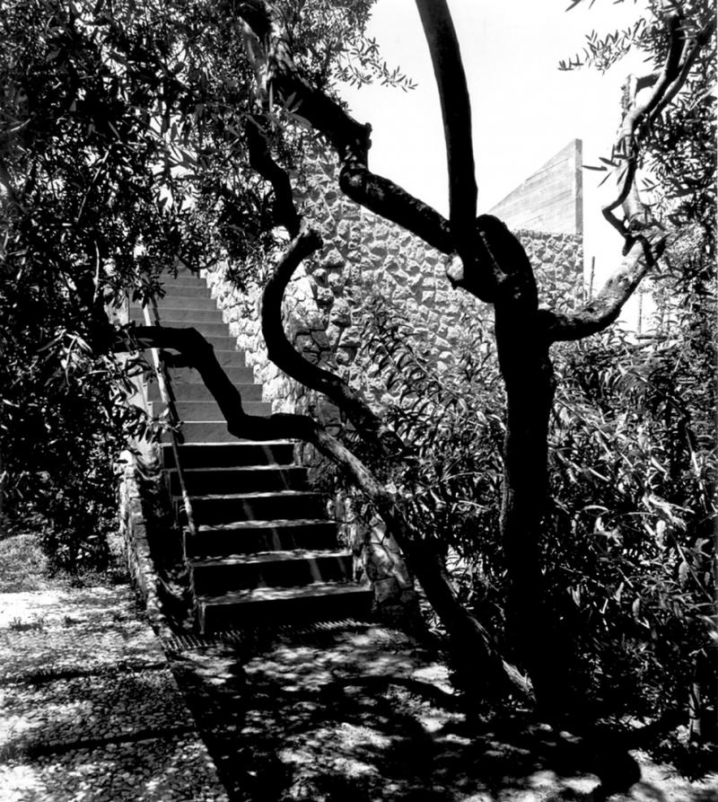 foto d'epoca