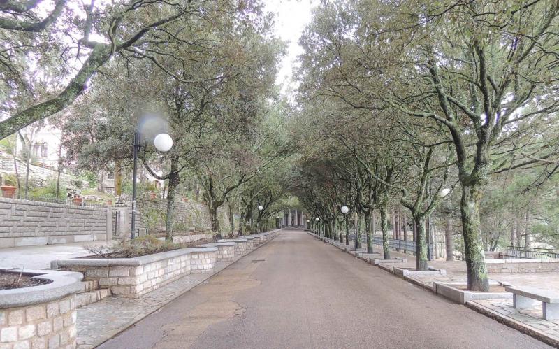 Viale della Fonte Nuova_1