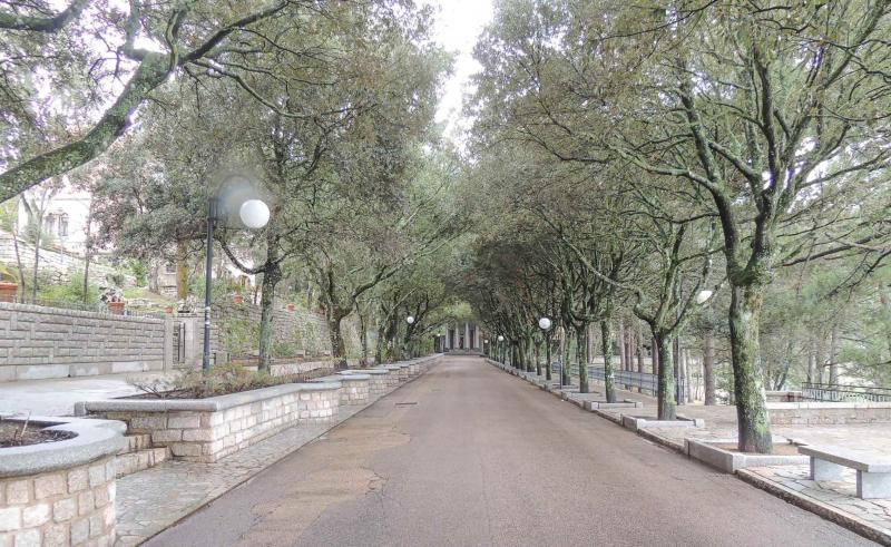 Viale della Fonte Nuova_2