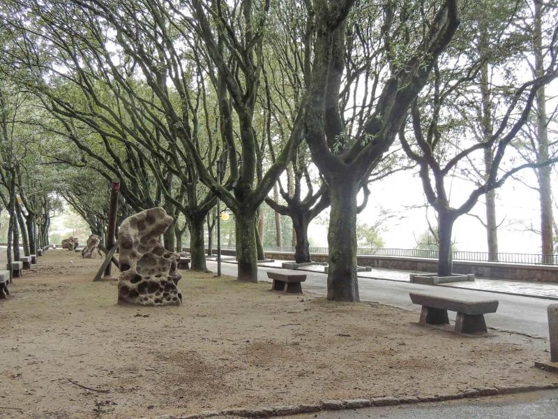 Viale della Fonte Nuova_10
