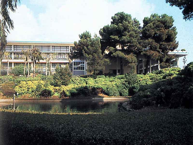 Vista del giardino