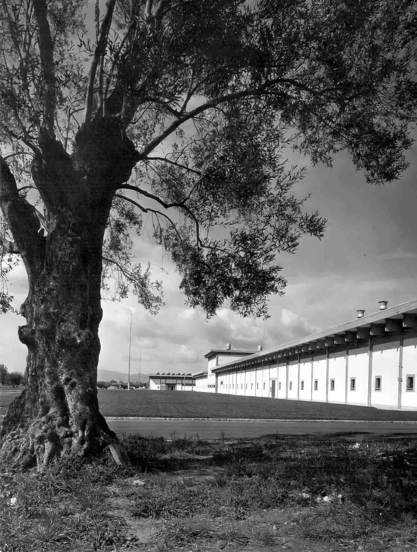 Foto d'epoca del comparto ceramico