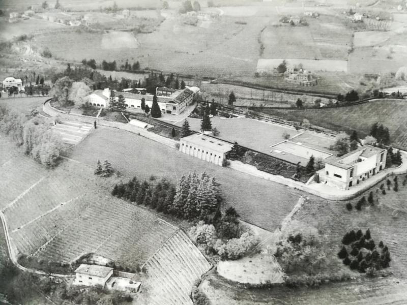 Veduta della costa orientale, 1962: le piantagioni ornamentali interrompono le distese dei vigneti. 