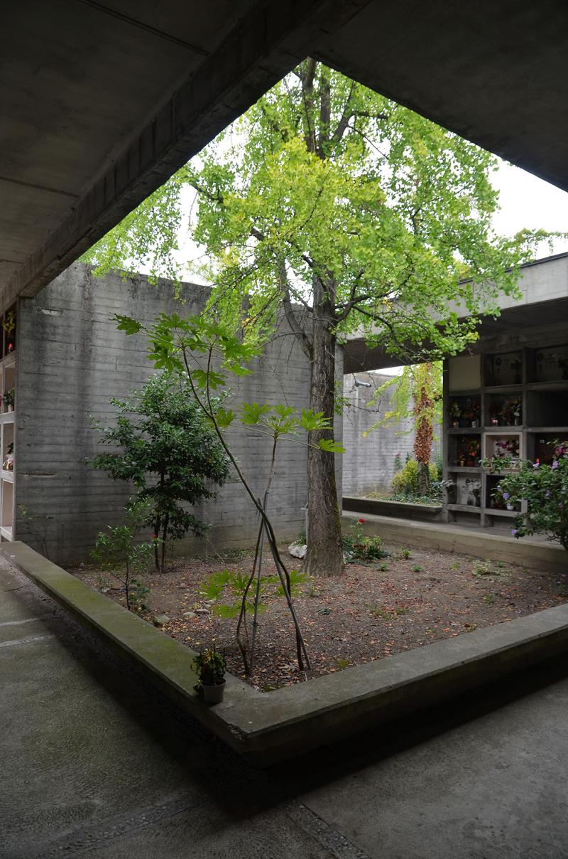 Un “vuoto” alberato