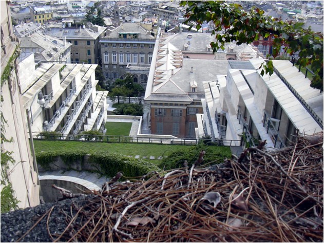Veduta generale dell'edificio dalla Spianata Castelletto 