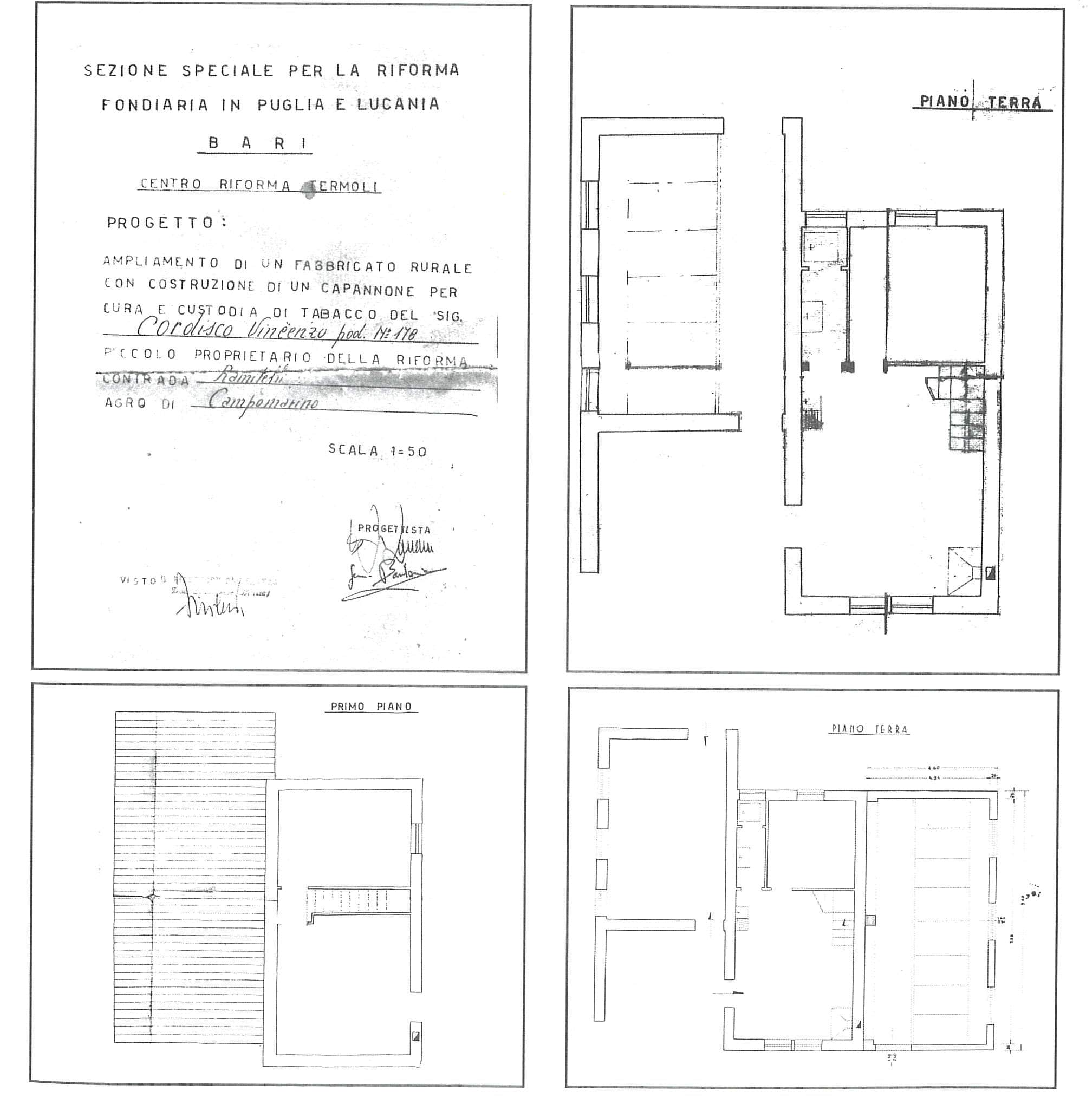tipologia Ramella piante