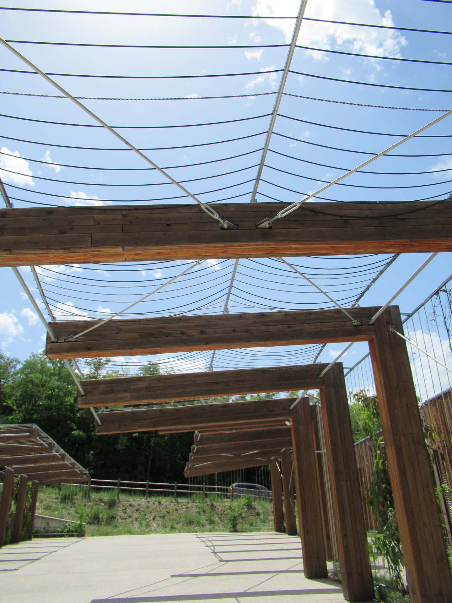 particolare del pergolato