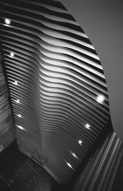 Veduta dal basso dei “baffles” di copertura della sala