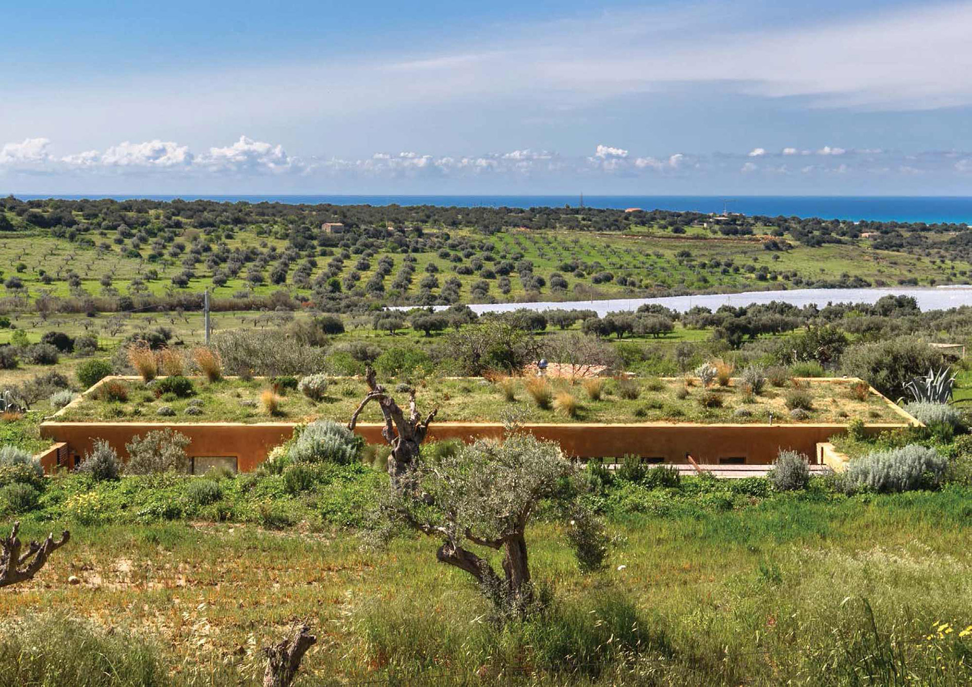 La costruzione parzialmente occultata dalla vegetazione