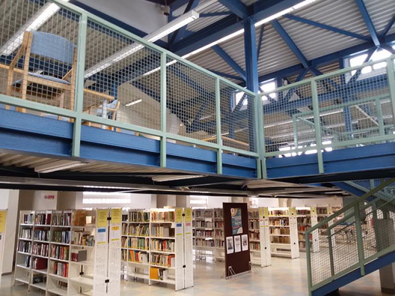Interno, biblioteca (2015)