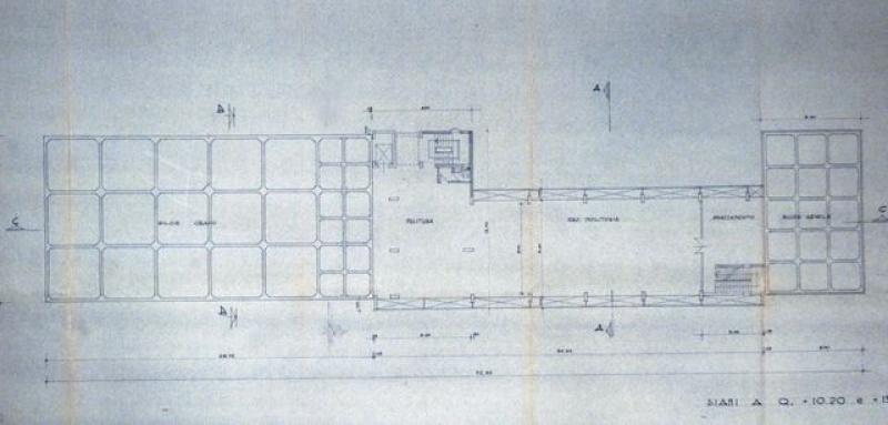 pianta a quota m.  10.20 (1980)