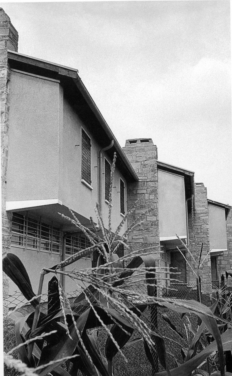 Dettaglio del fronte, 1953 