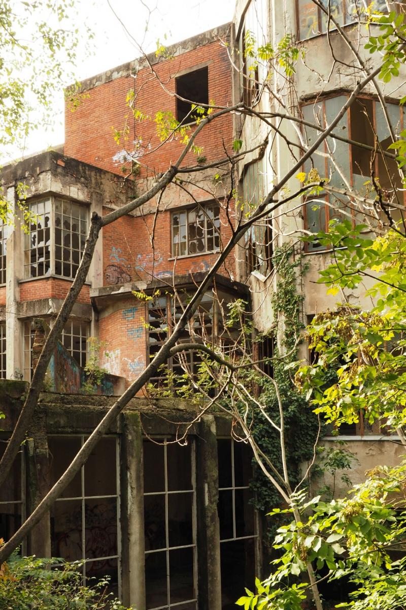 dettaglio del corpo centrale